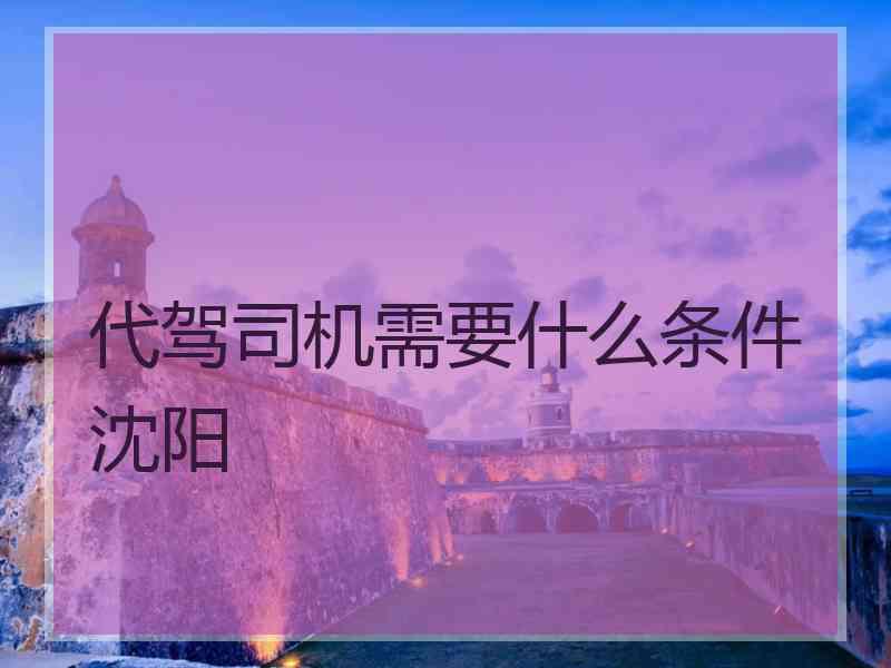 代驾司机需要什么条件沈阳