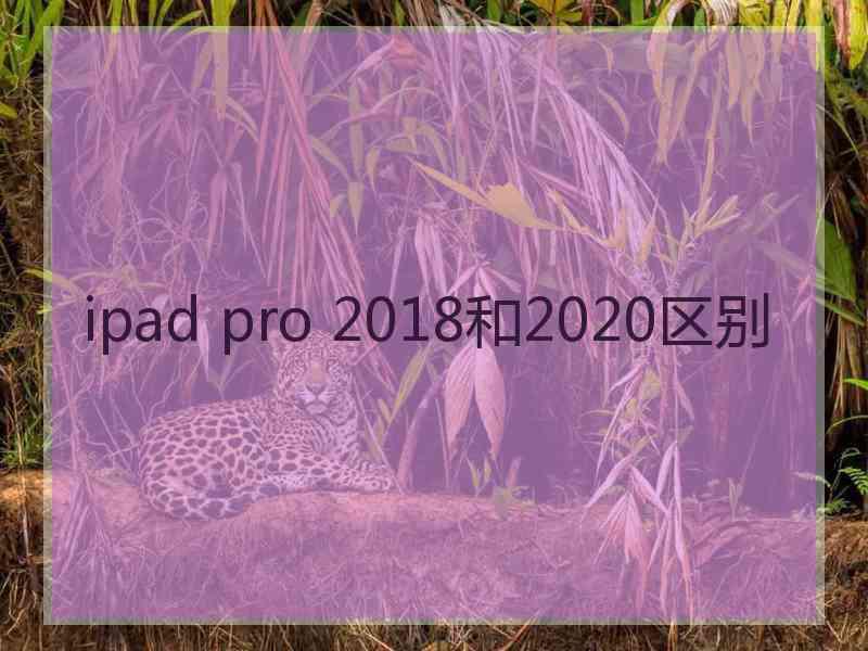 ipad pro 2018和2020区别