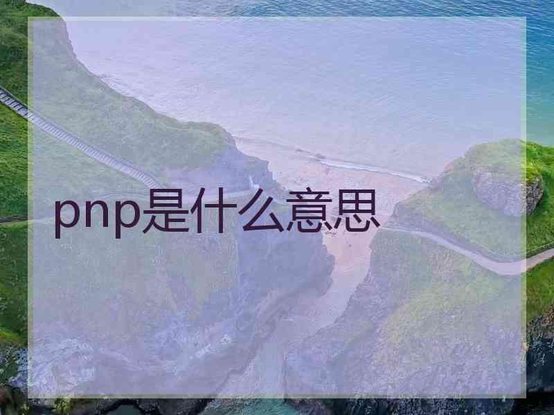 pnp是什么意思