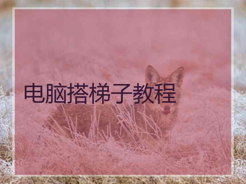 电脑搭梯子教程