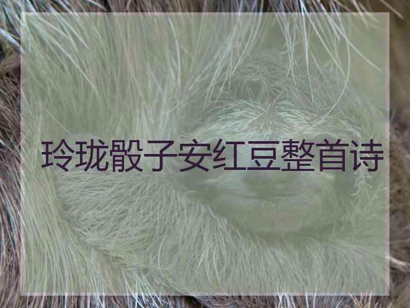 玲珑骰子安红豆整首诗