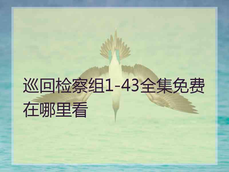 巡回检察组1-43全集免费在哪里看