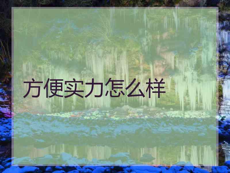 方便实力怎么样