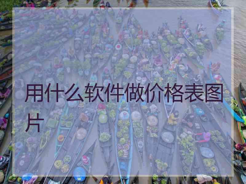 用什么软件做价格表图片