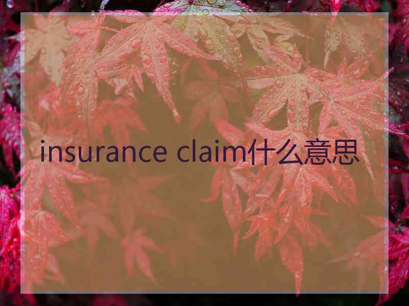 insurance claim什么意思
