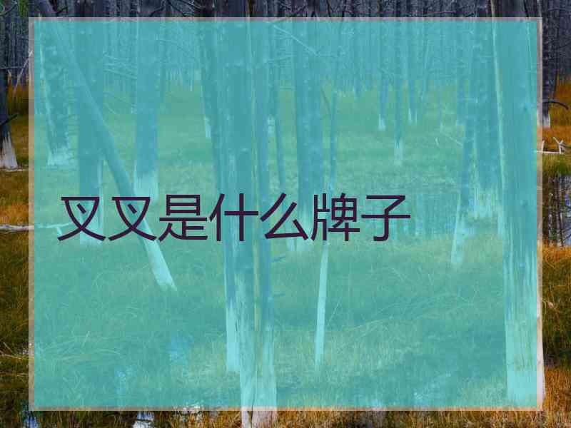 叉叉是什么牌子