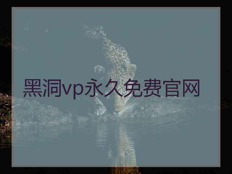 黑洞vp永久免费官网