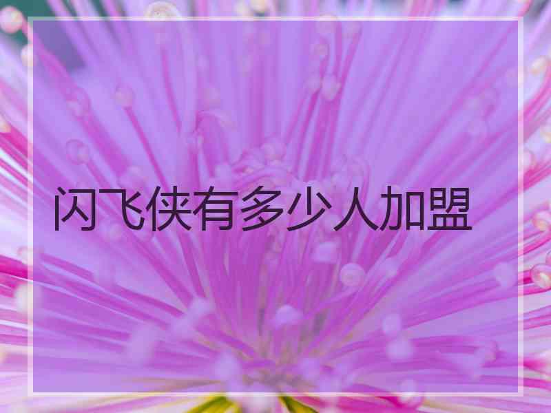 闪飞侠有多少人加盟