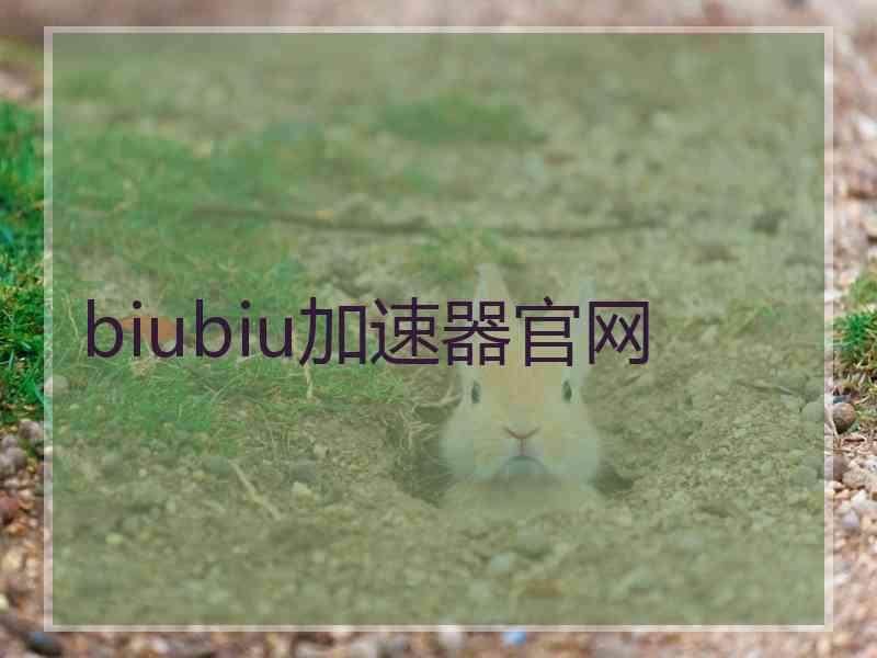 biubiu加速器官网
