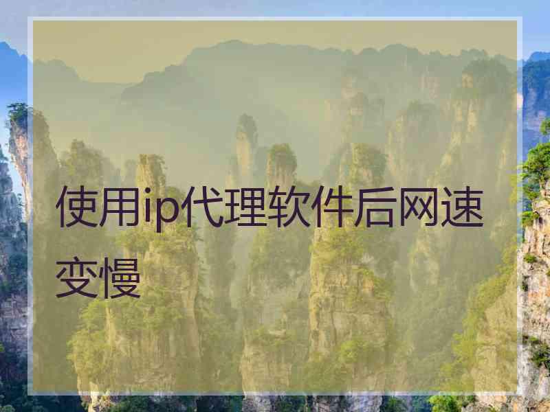 使用ip代理软件后网速变慢