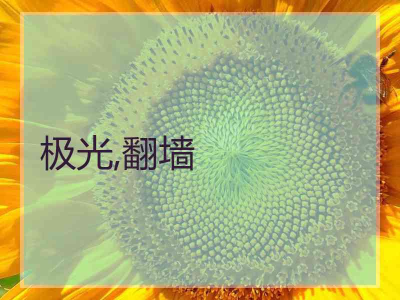 极光,翻墙