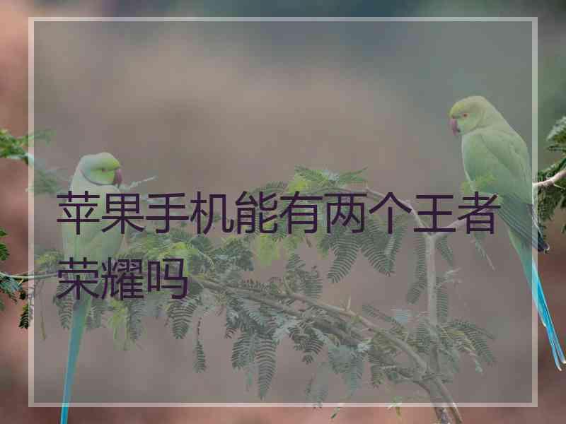苹果手机能有两个王者荣耀吗