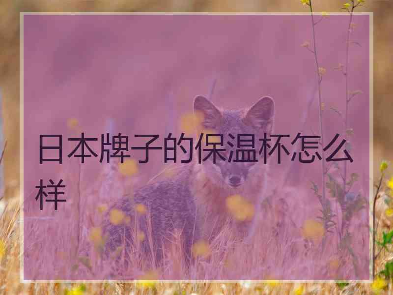 日本牌子的保温杯怎么样