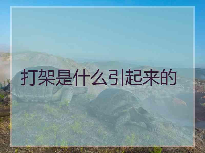 打架是什么引起来的