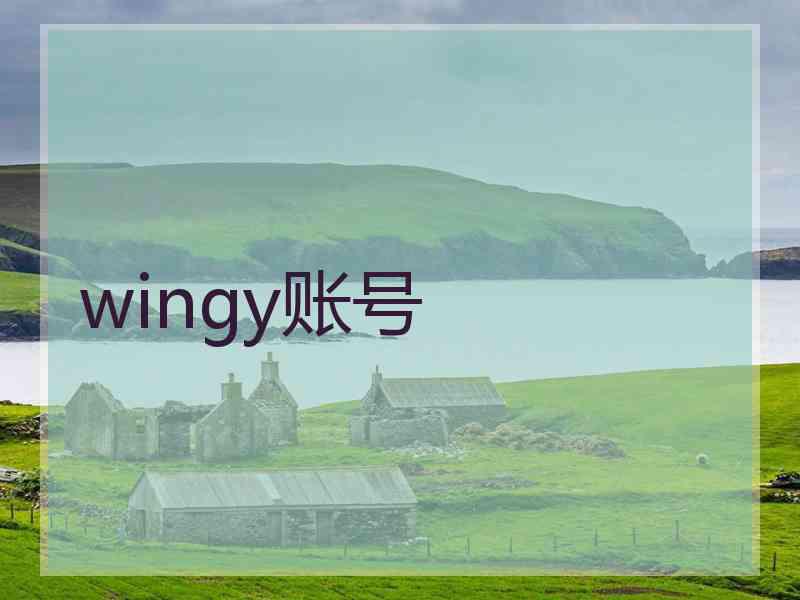 wingy账号