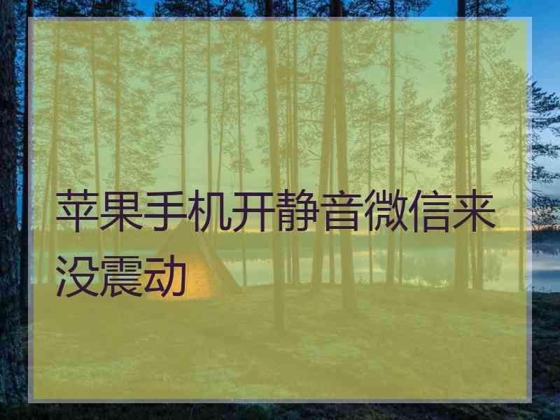 苹果手机开静音微信来没震动
