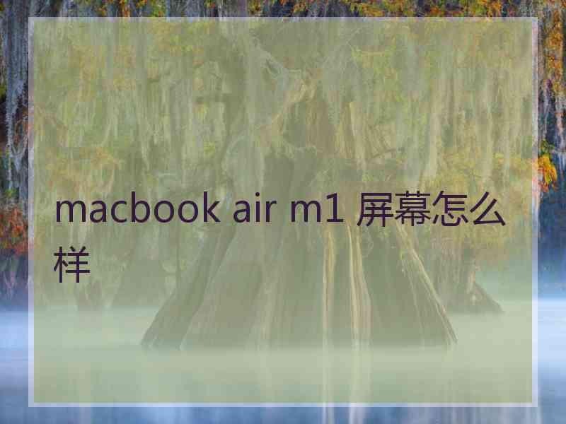 macbook air m1 屏幕怎么样