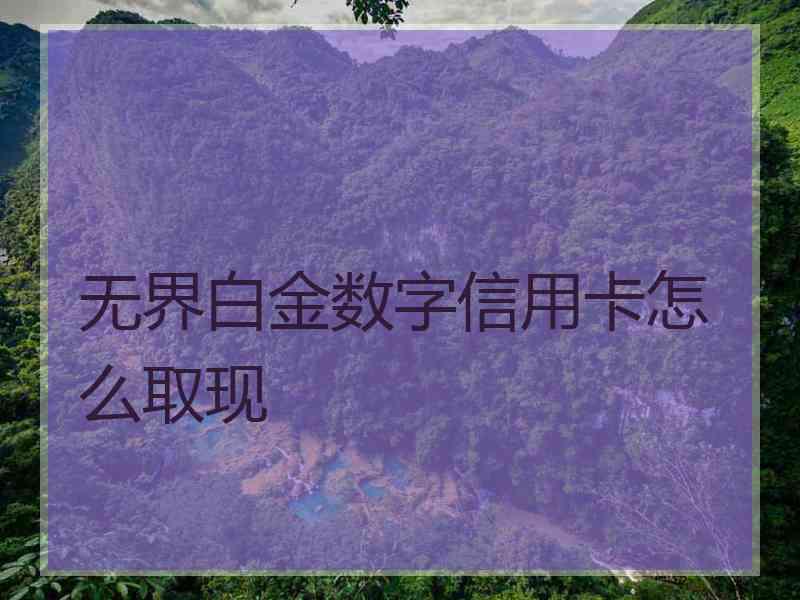 无界白金数字信用卡怎么取现