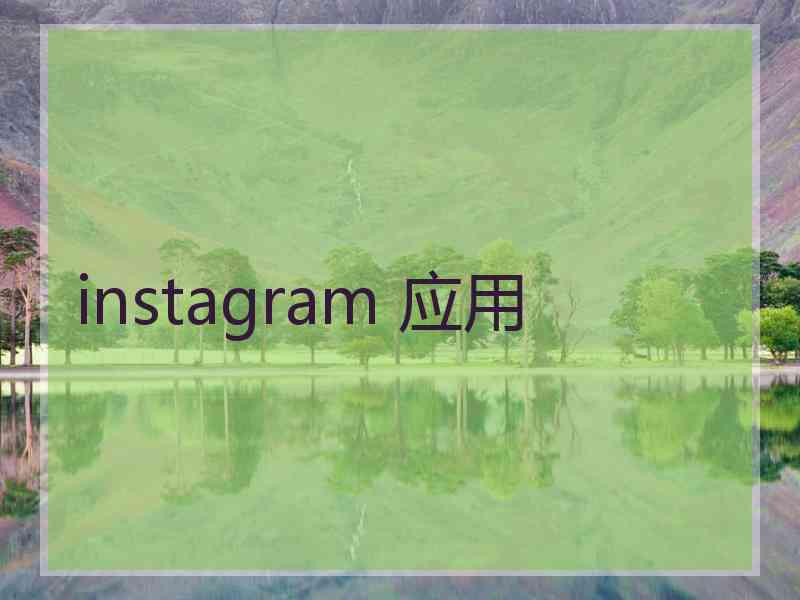 instagram 应用