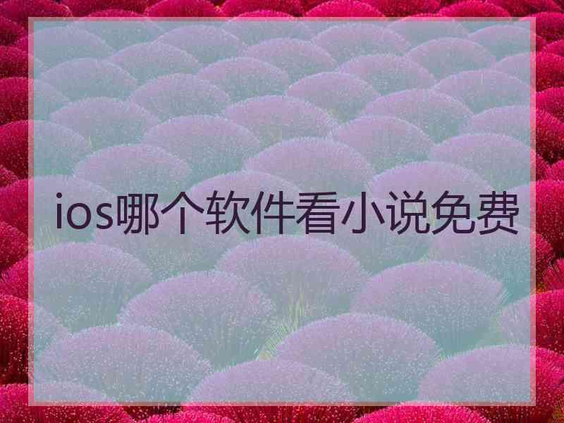 ios哪个软件看小说免费