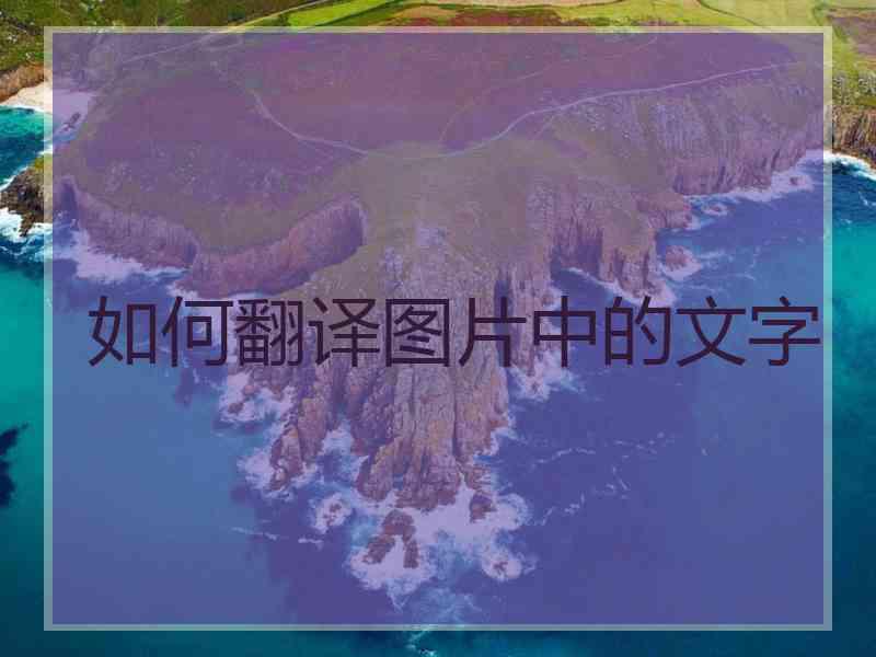 如何翻译图片中的文字