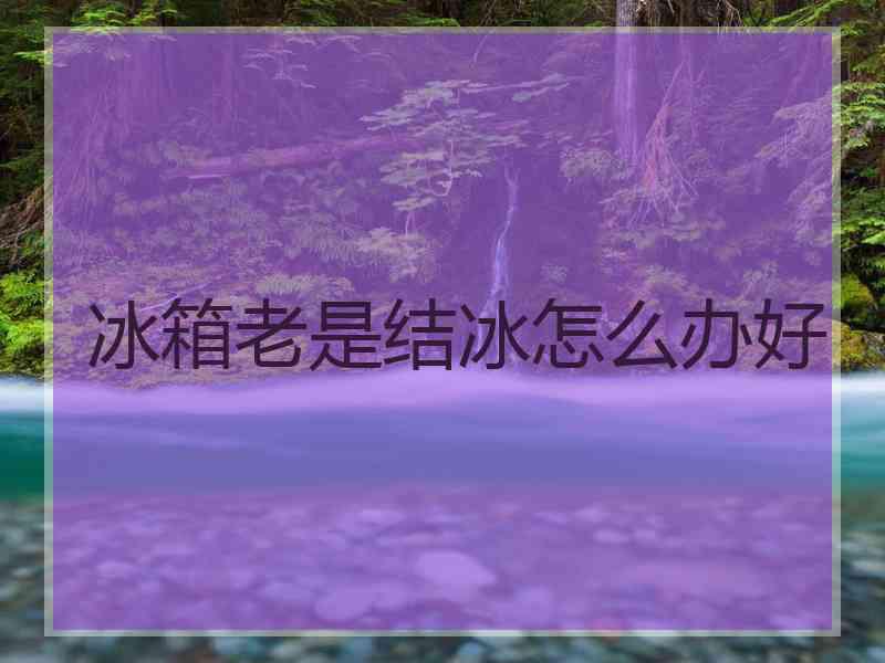 冰箱老是结冰怎么办好