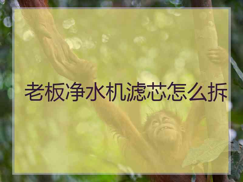 老板净水机滤芯怎么拆