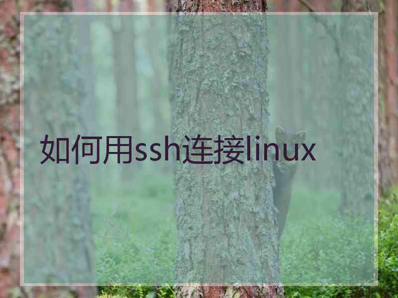 如何用ssh连接linux
