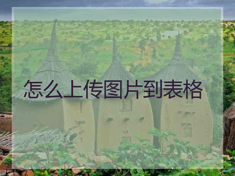 怎么上传图片到表格