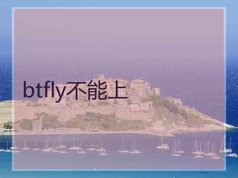 btfly不能上