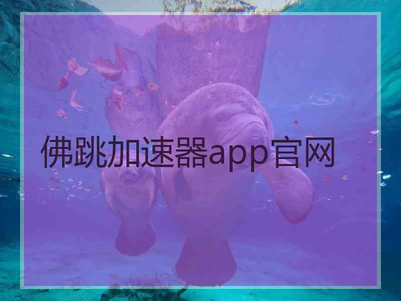 佛跳加速器app官网