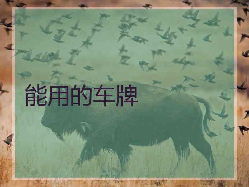 能用的车牌
