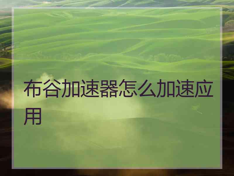 布谷加速器怎么加速应用