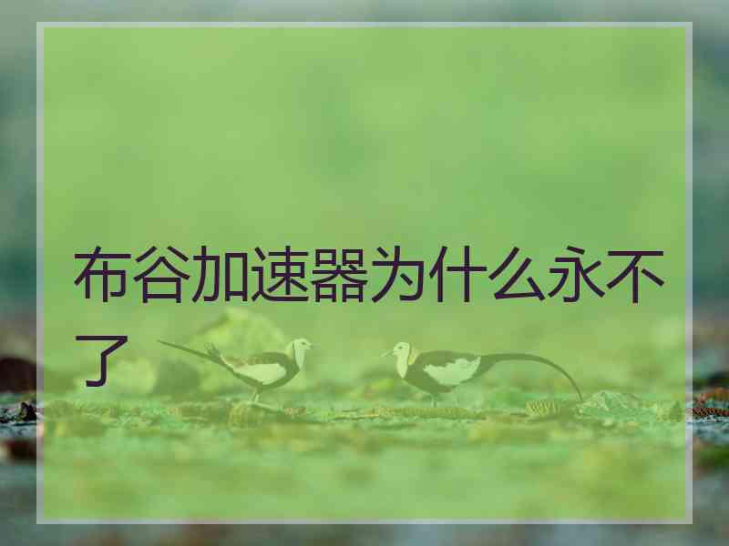 布谷加速器为什么永不了
