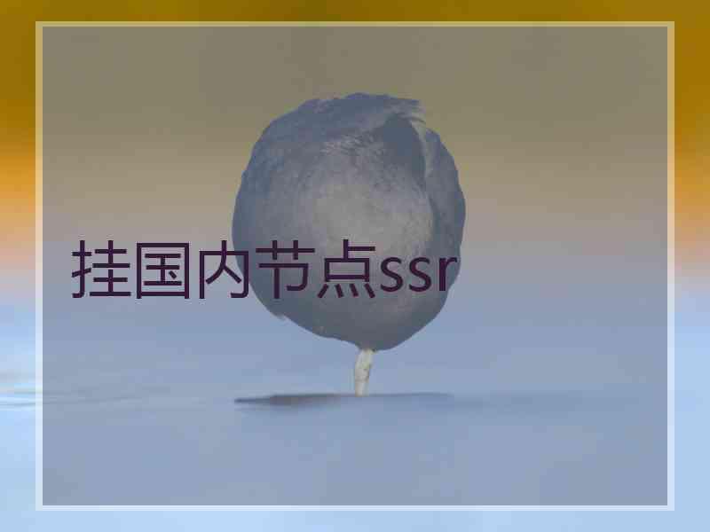 挂国内节点ssr