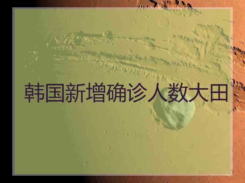 韩国新增确诊人数大田