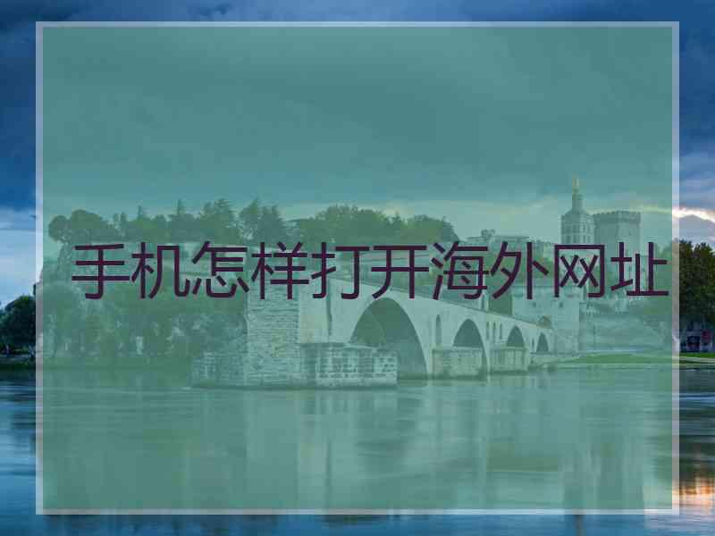 手机怎样打开海外网址