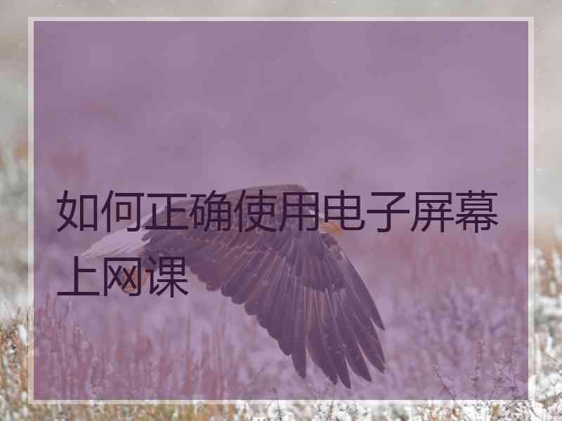 如何正确使用电子屏幕上网课