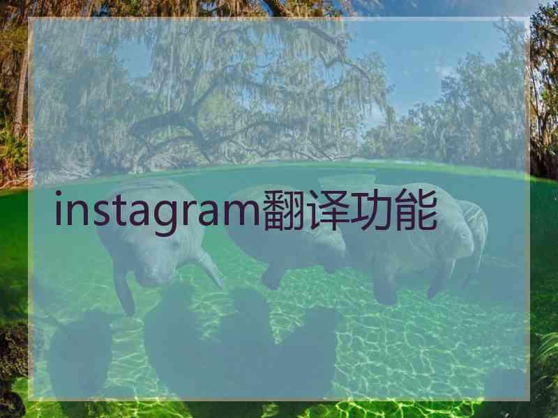 instagram翻译功能