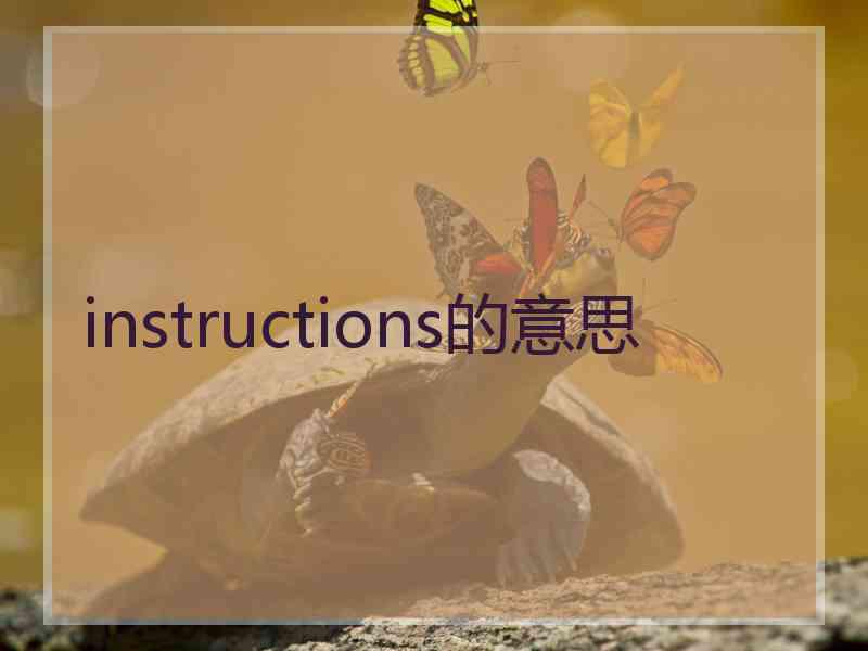 instructions的意思