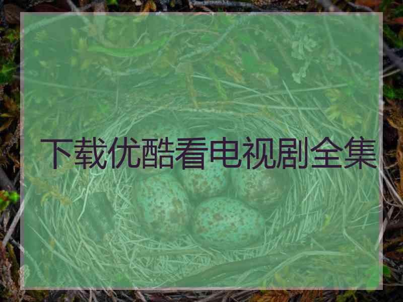 下载优酷看电视剧全集