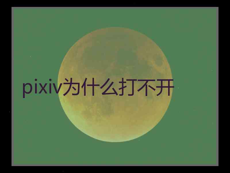 pixiv为什么打不开