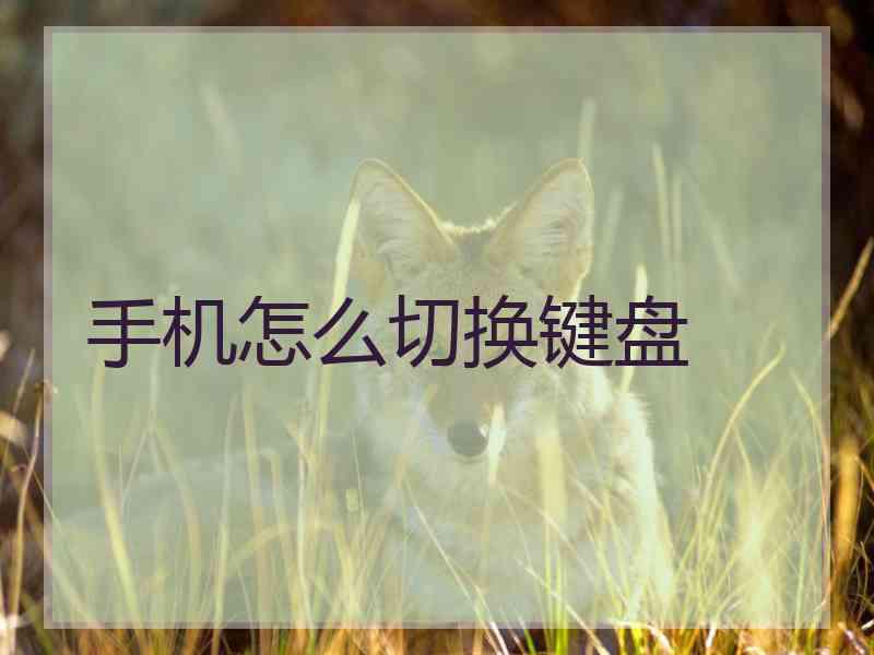 手机怎么切换键盘