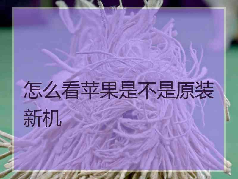 怎么看苹果是不是原装新机