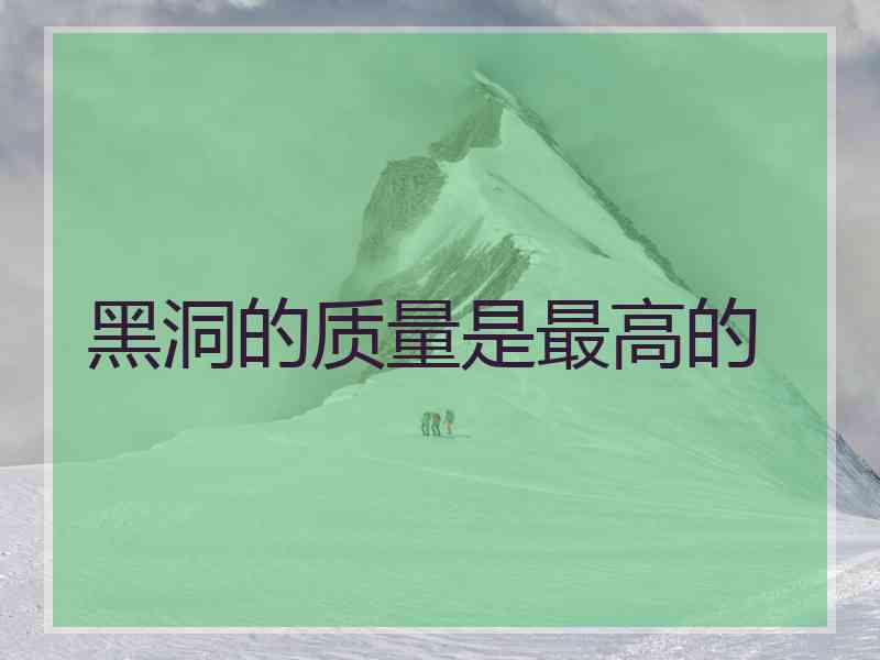 黑洞的质量是最高的