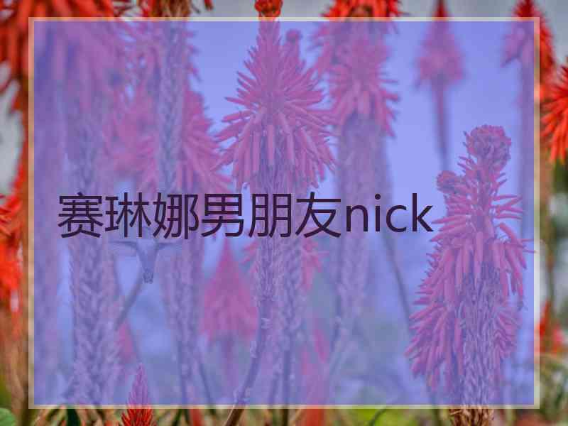 赛琳娜男朋友nick