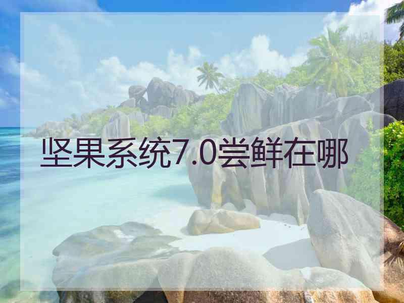 坚果系统7.0尝鲜在哪