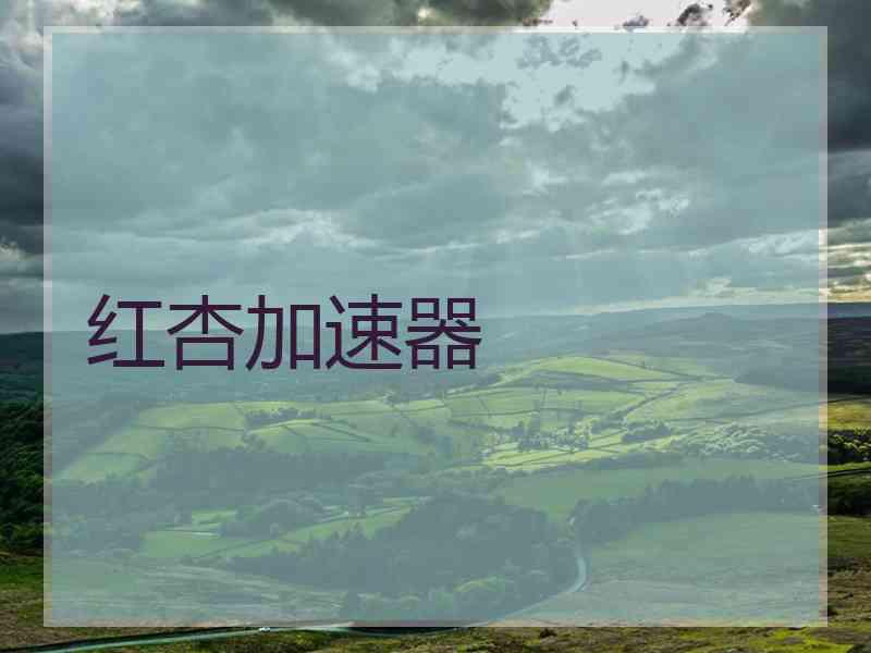 红杏加速器