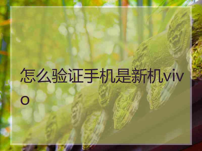 怎么验证手机是新机vivo