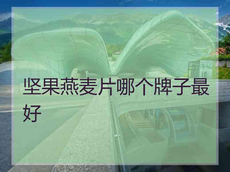 坚果燕麦片哪个牌子最好